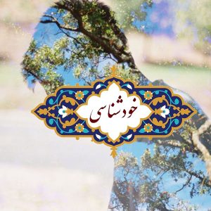 جلسه چهل و یکم خودشناسی دوره دوم
